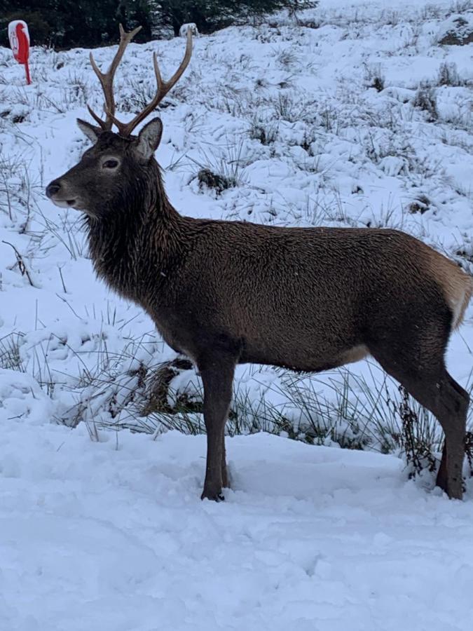 Ormasaig, Self Catering, One Mile To Town & Close To Ben Nevis Villa Fort William Eksteriør billede